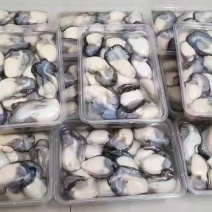 生蚝肉500g