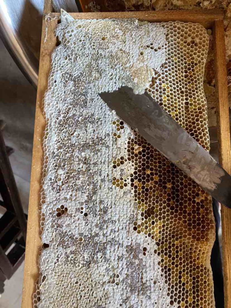 江西上饶铅山深山土蜂蜜农家自产百花蜜原蜜