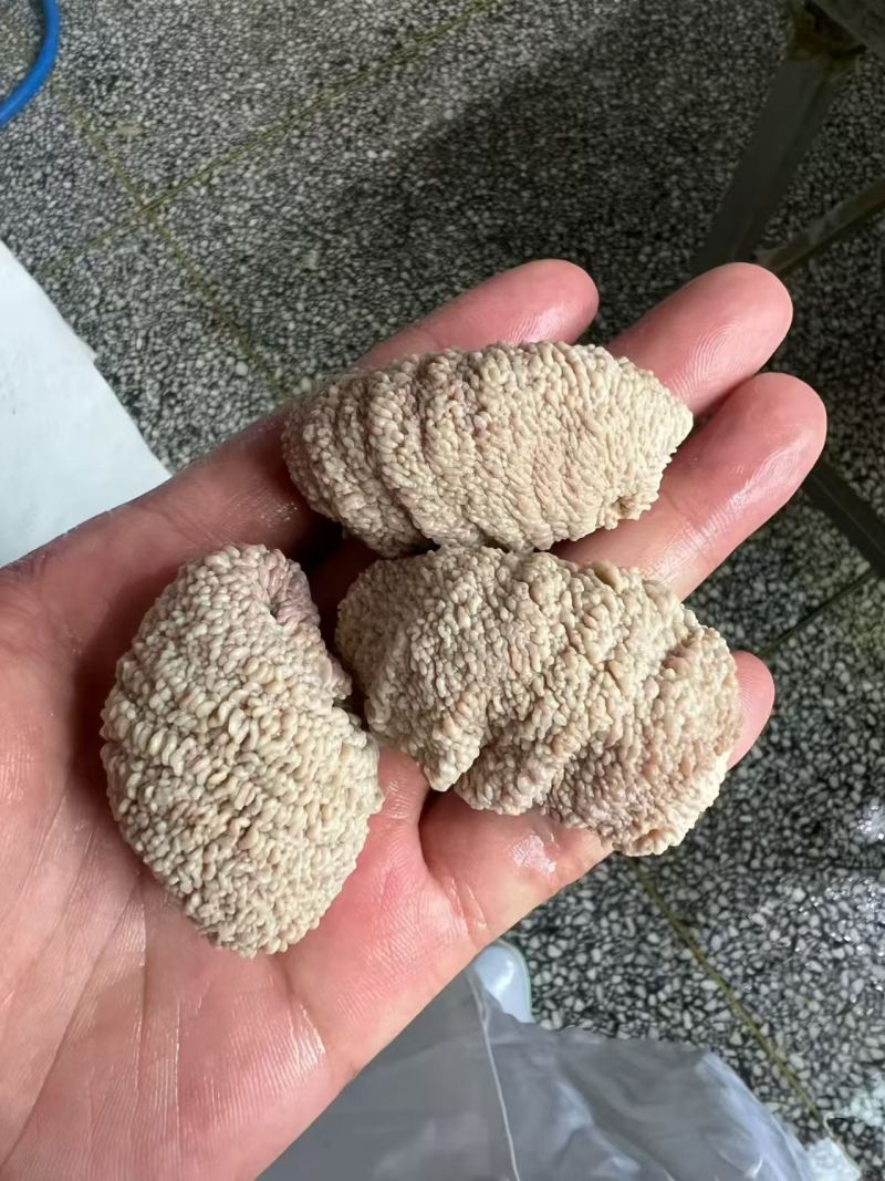 熟鸡蛋包头30吨