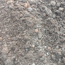 发酵稻壳鸡粪