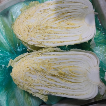 娃娃菜净菜毛菜