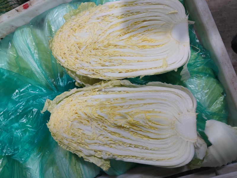 娃娃菜净菜毛菜