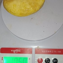 鸡宝