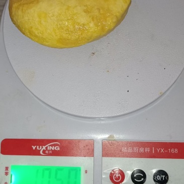 鸡宝