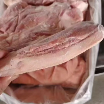 肥猪前上肉10公斤4-8片手续齐全