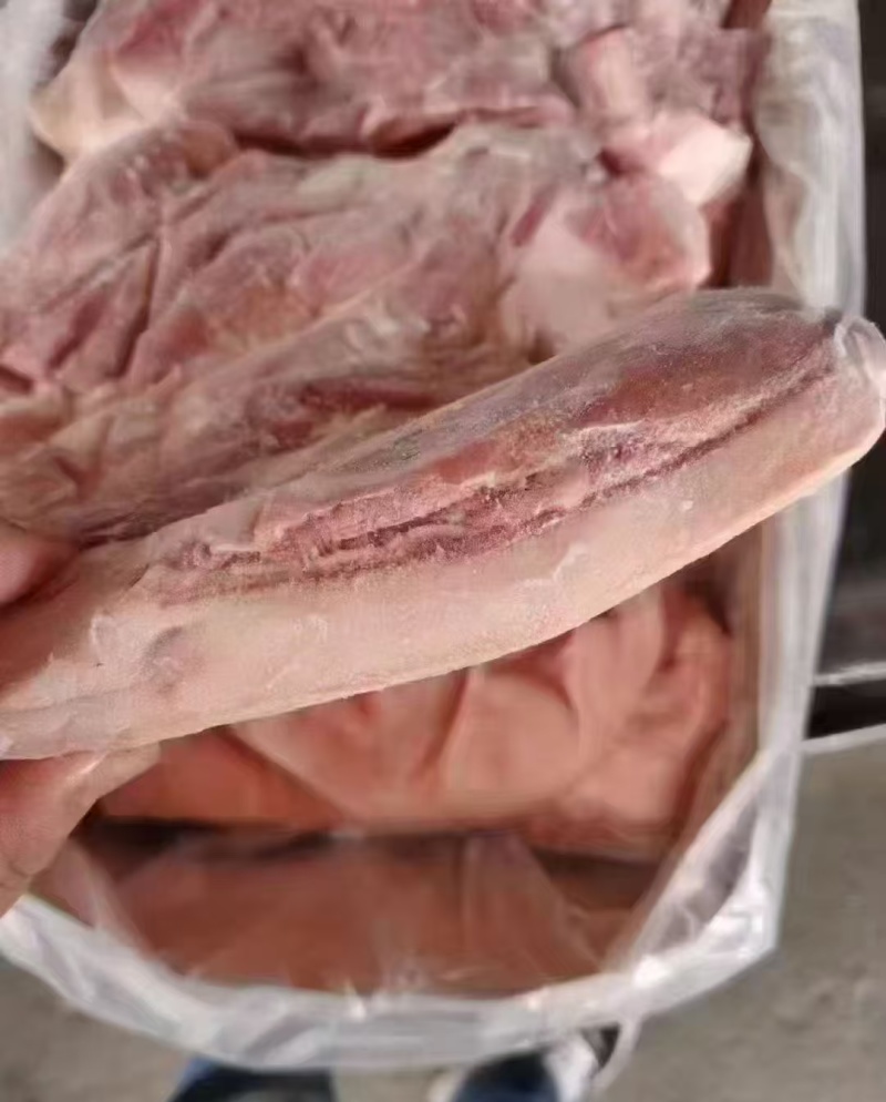 肥猪前上肉10公斤4-8片手续齐全
