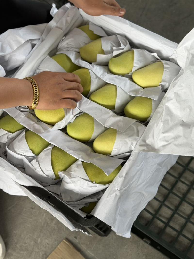 一级果