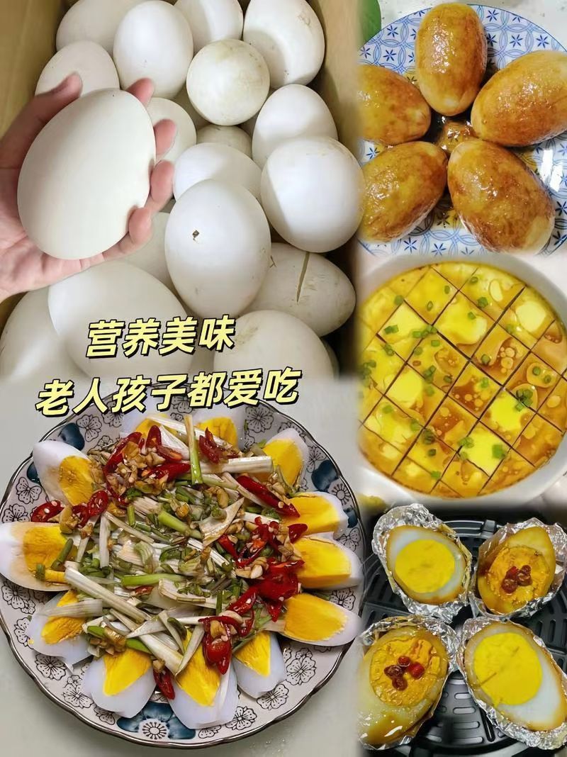 鹅蛋