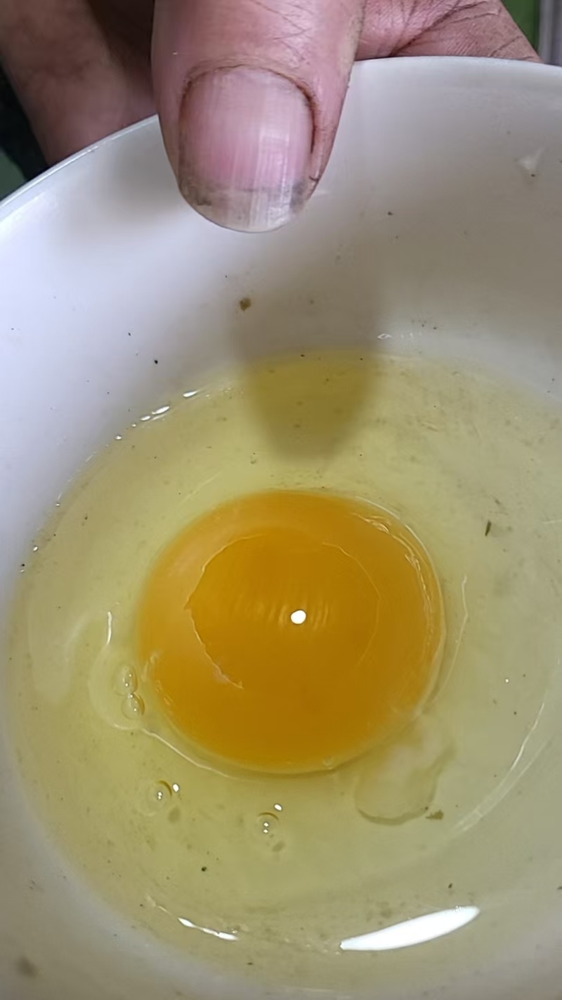 0药残0抗生素的鸡蛋（***激素和蛋红黄素）只产高品蛋
