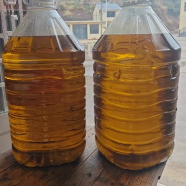山茶油