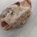 鸡肉纯家养内蒙古家养鸡***剂