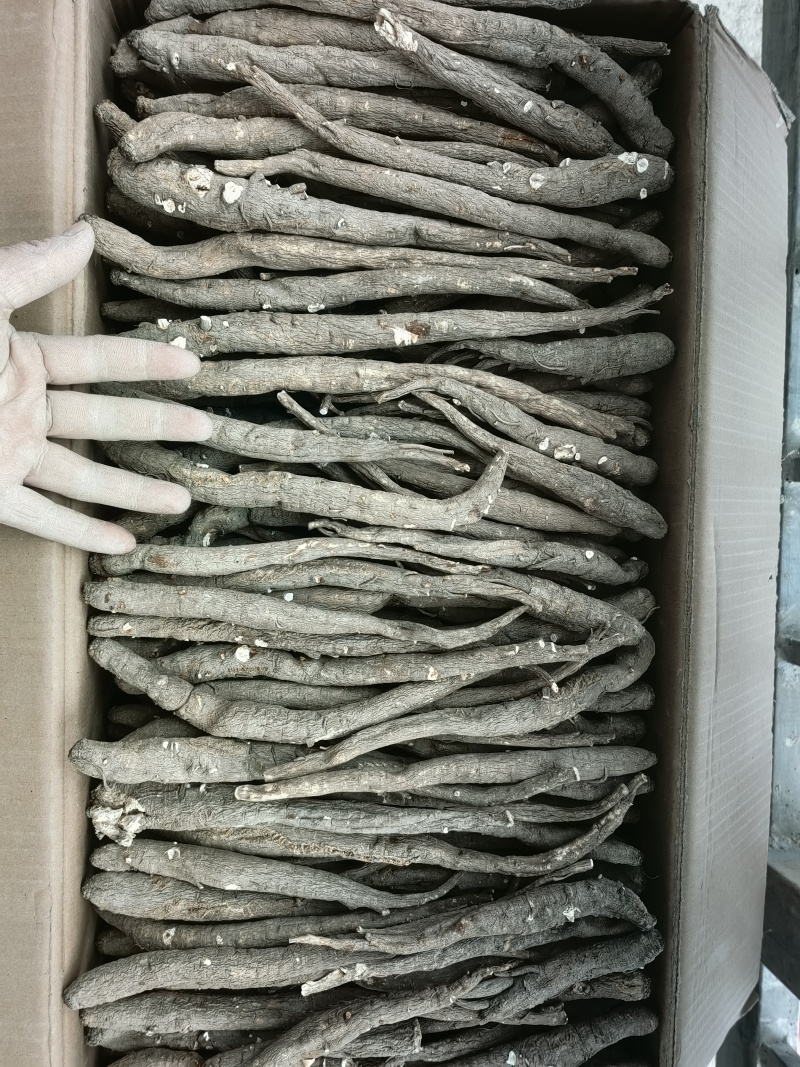 产地直发正宗高品质规格齐全当归选购**