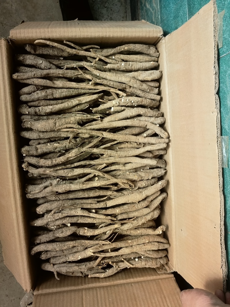 产地直发正宗高品质规格齐全当归选购**