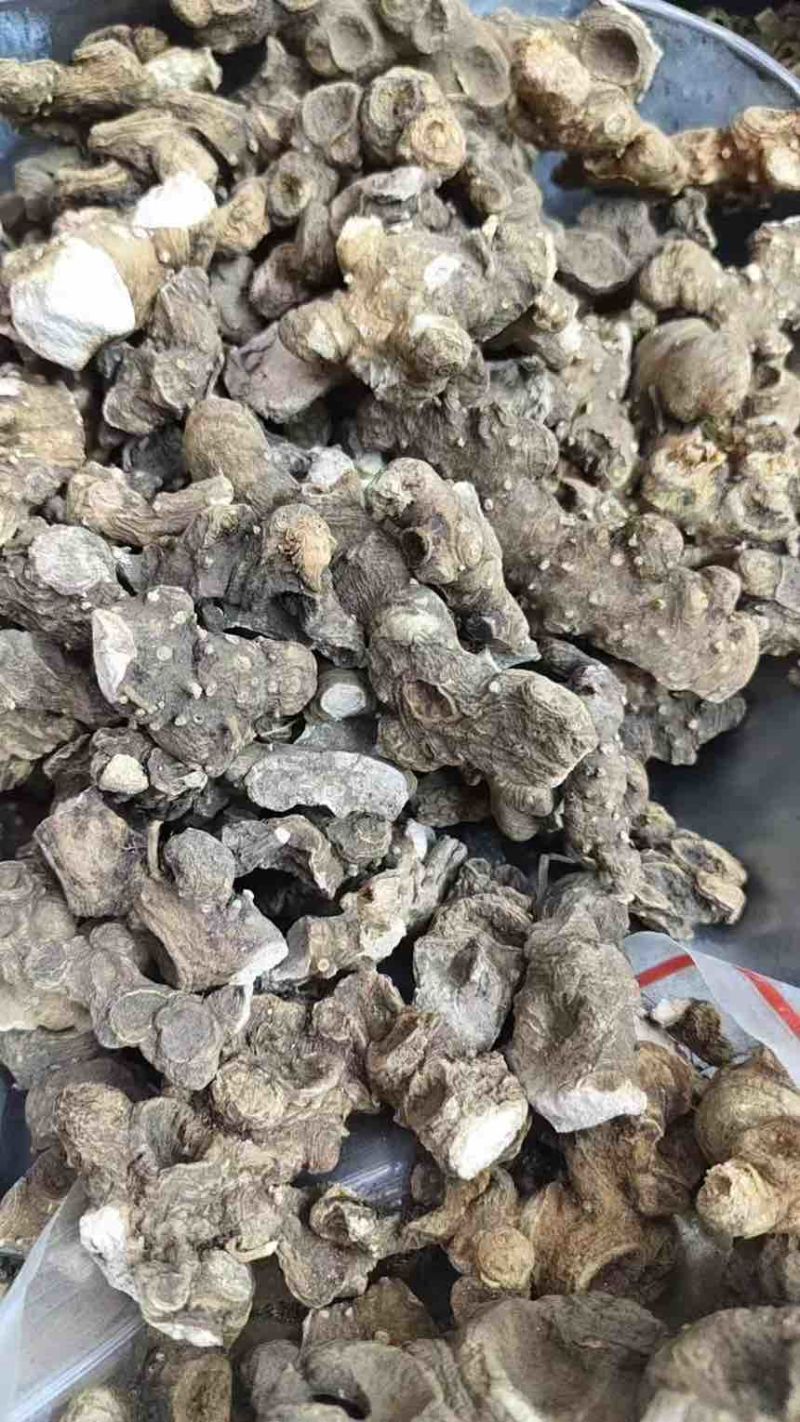 野生盘龙七偏头七鹿药干货，需要的大量供货