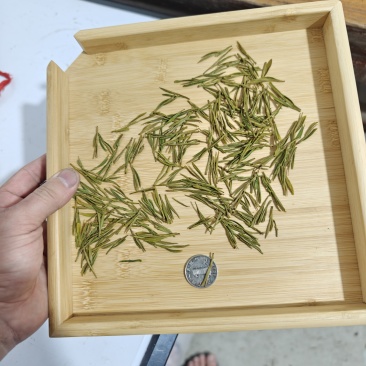 安吉白茶，黄茶