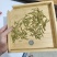 安吉白茶，黄茶