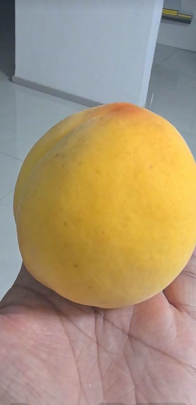黄桃，黄金密7号