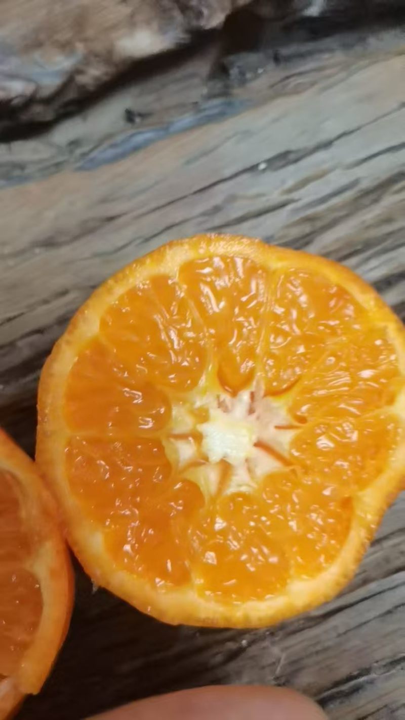 重庆默科特柑橘基地直供大量有货对接批发市场档口量大从优