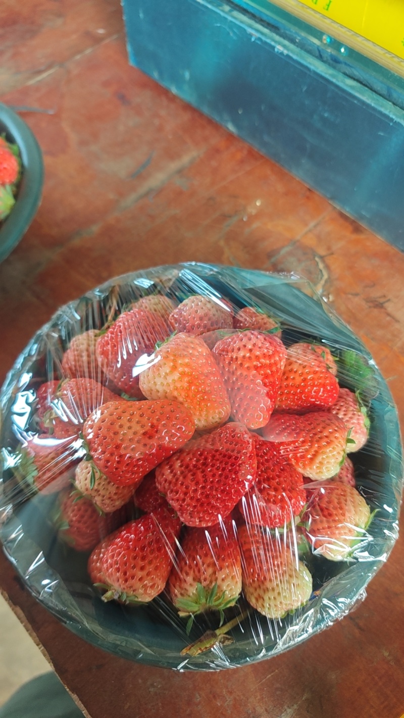 红颜草莓
