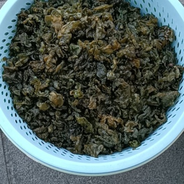 地衣菜