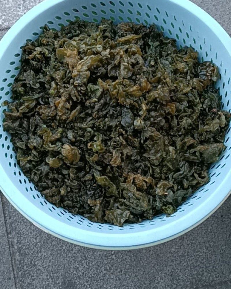 地衣菜
