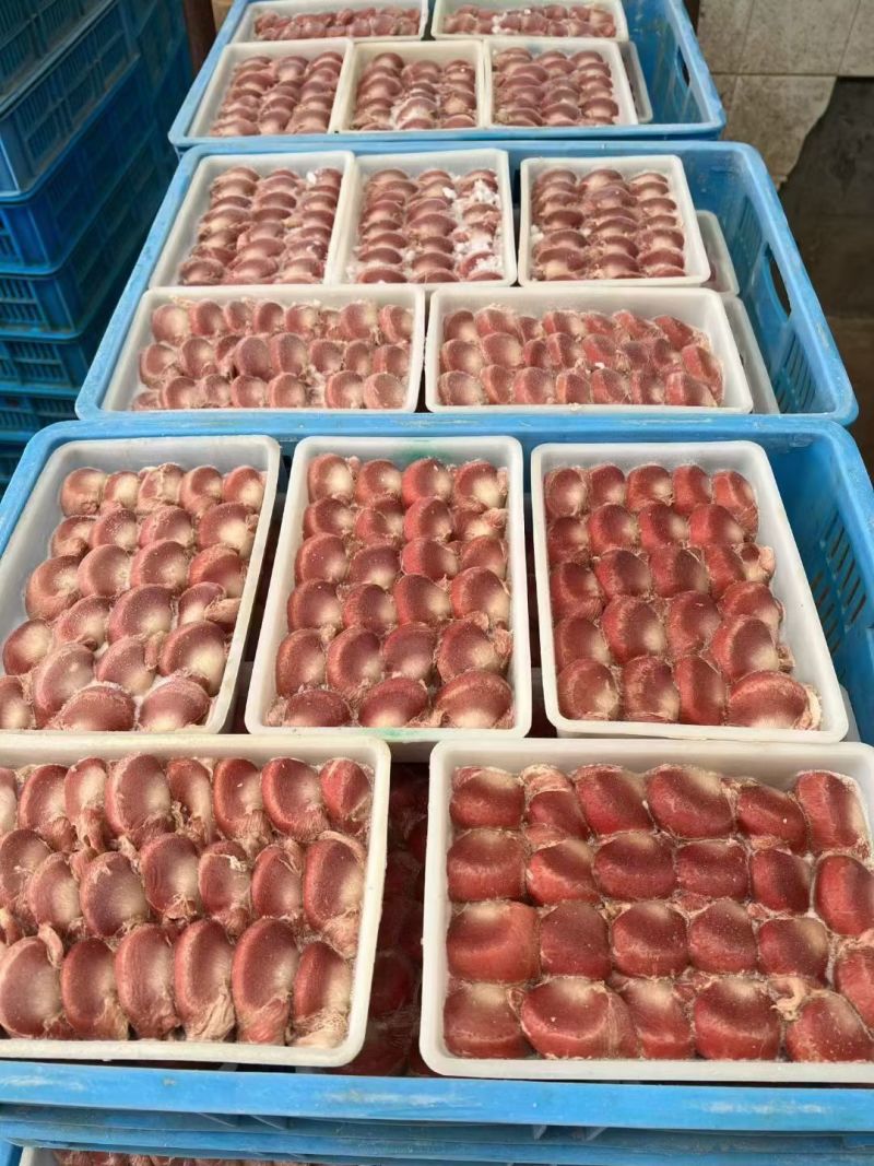 鸭胗