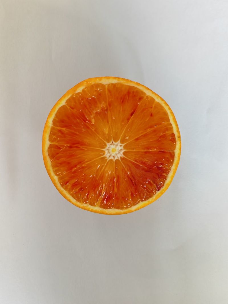 万州玫瑰香橙
