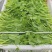 贵州遵义豌豆苗品质美丽价格美丽