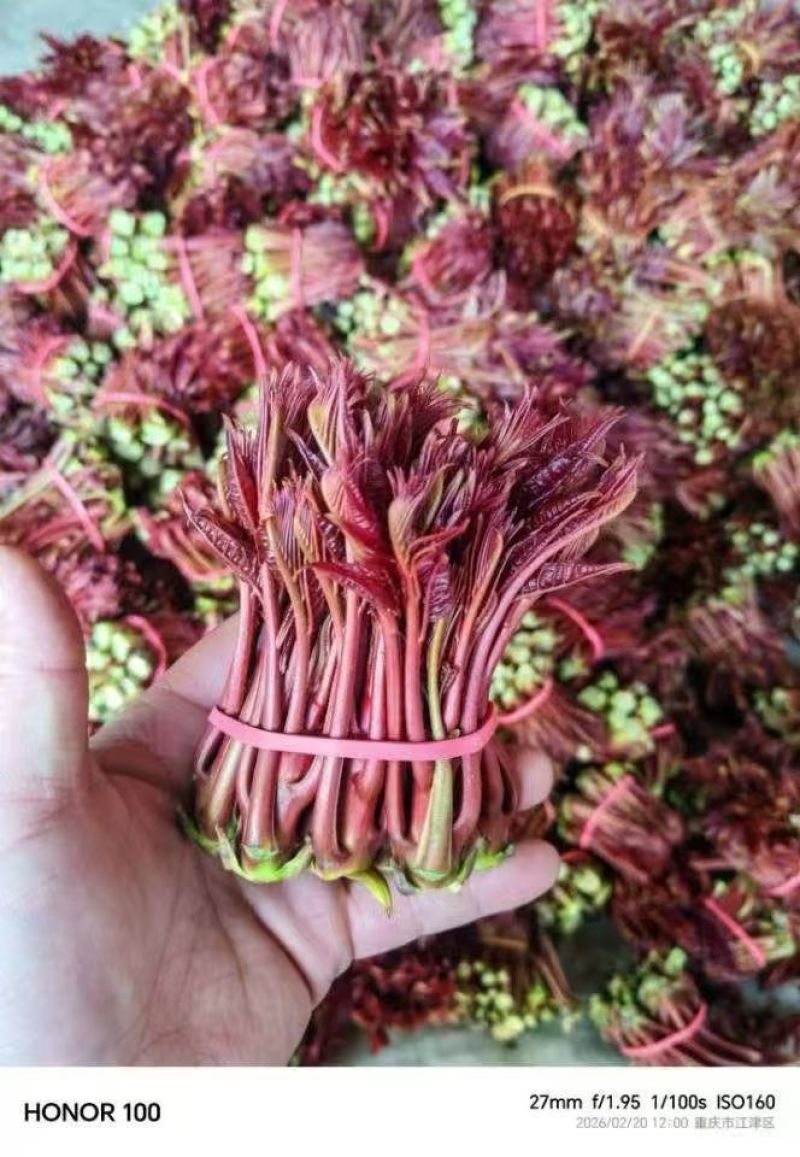 电商**:鲜香椿芽上市了。头茬红油香椿。质量稳定。定制，加工