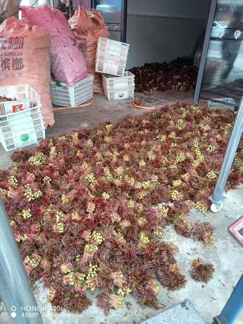 电商**:鲜香椿芽上市了。头茬红油香椿。质量稳定。定制，加工