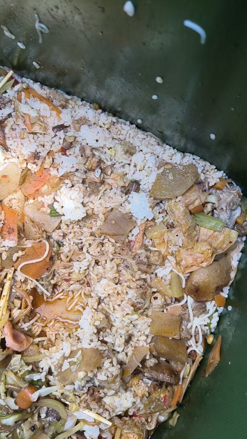 饲料