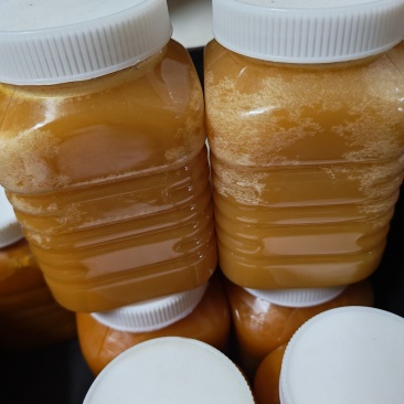 我们这里有六十几斤的现货，一年只取一次