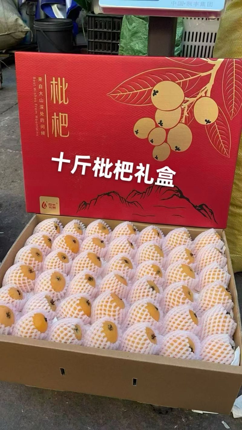 攀枝花米易枇杷