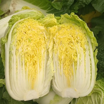 精品娃娃菜