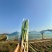 湘北地区**的有机芦笋基地