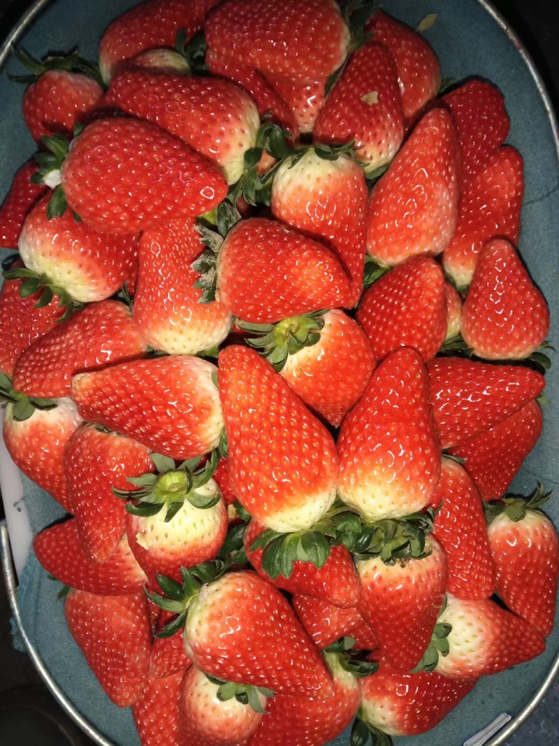 精品，通货，精品小果