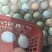 散养柴鸡蛋