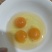 散养柴鸡蛋