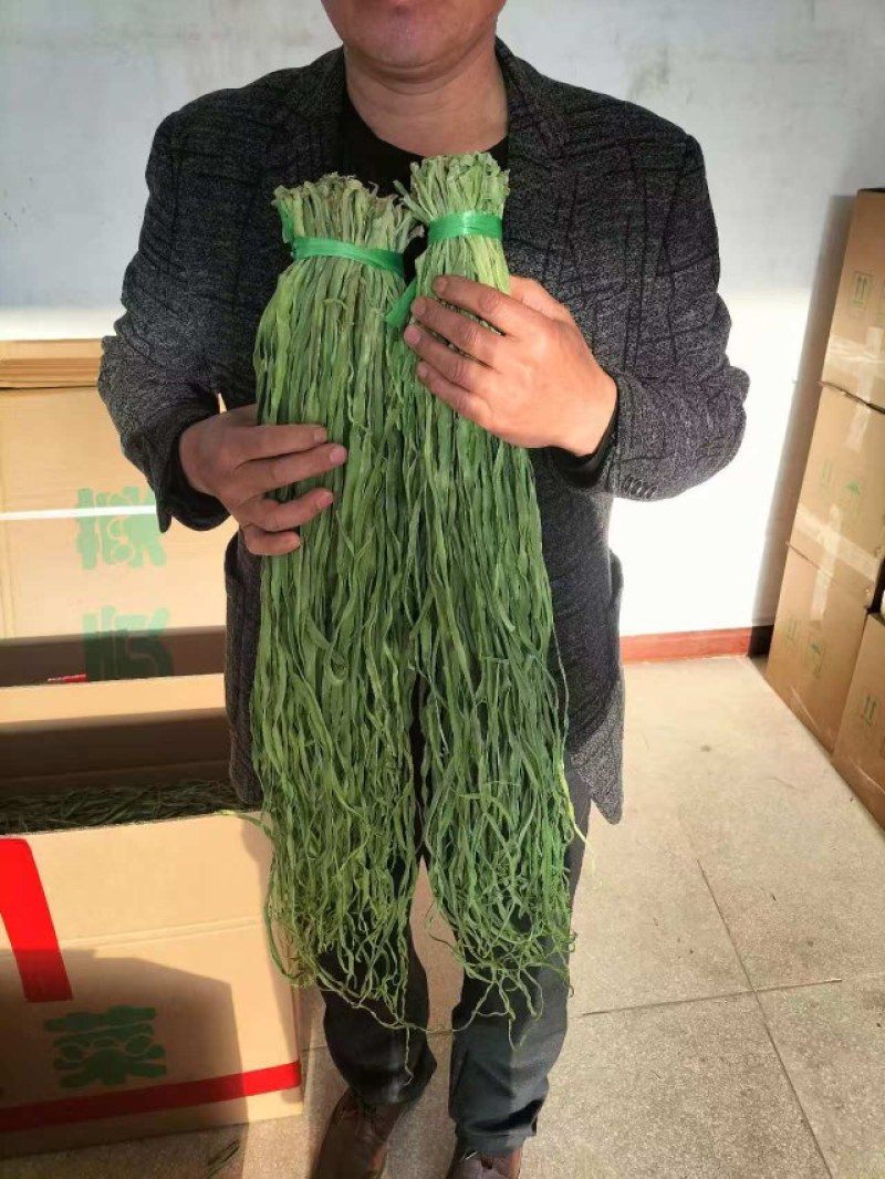 云南贡菜