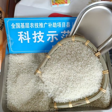大米