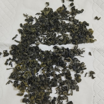 高山绿茶