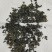 高山绿茶