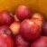 红露，华硕，滇红脆，全国*早品质优良的陆良高原苹果🍎