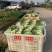 生菜