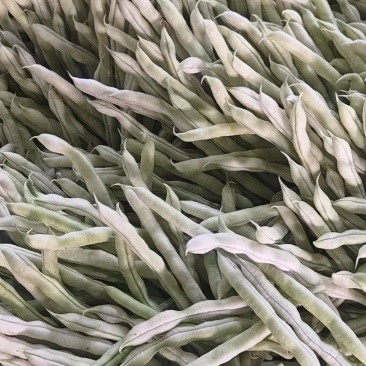 芸豆