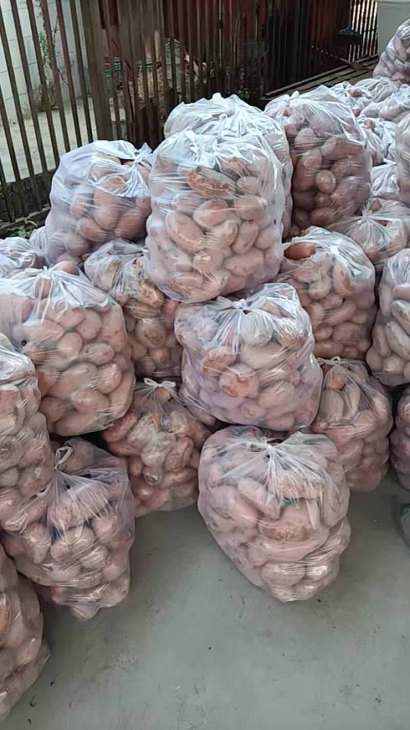 云南七彩土豆，2.5两至通天，上车价4200/吨