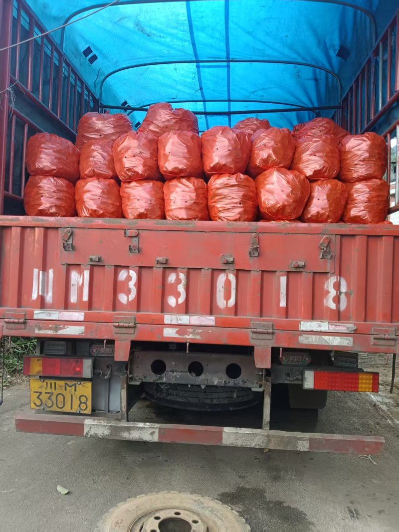 小黄姜质量好，品质好量大，需要的老板联系