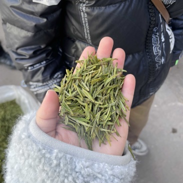 白茶