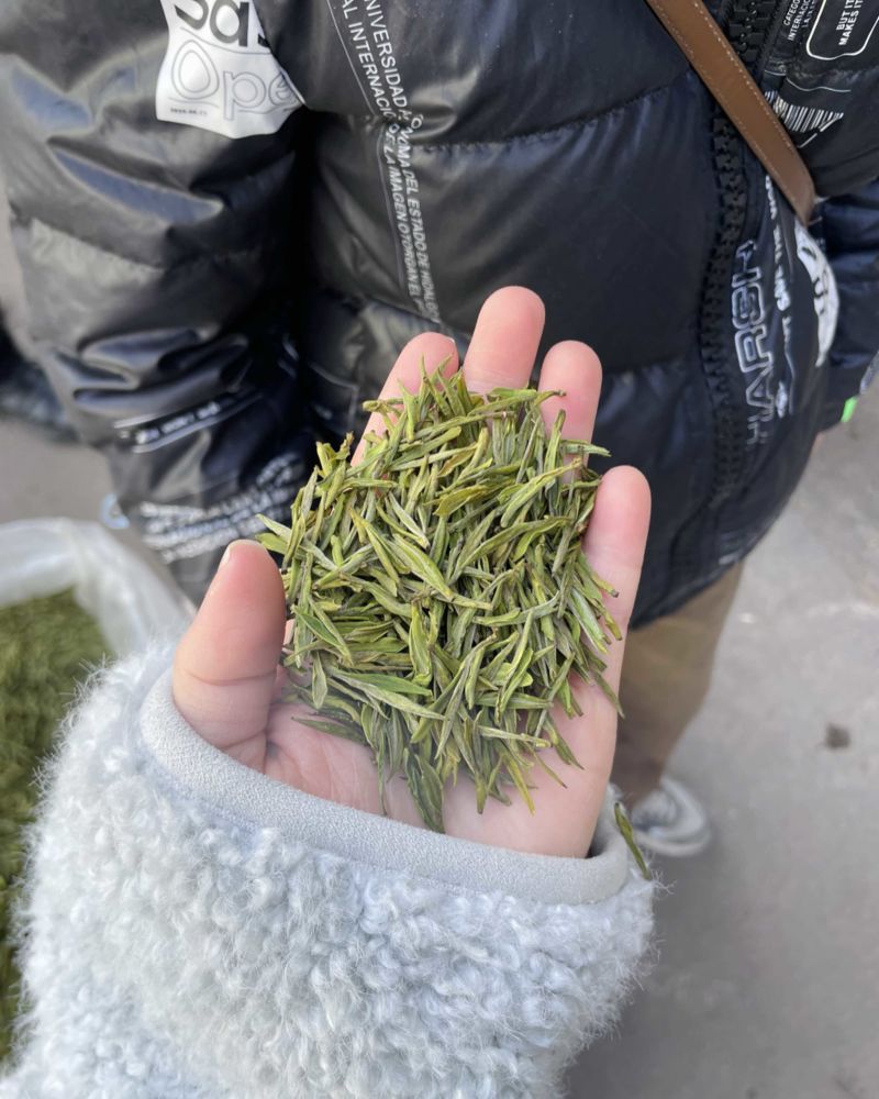 白茶