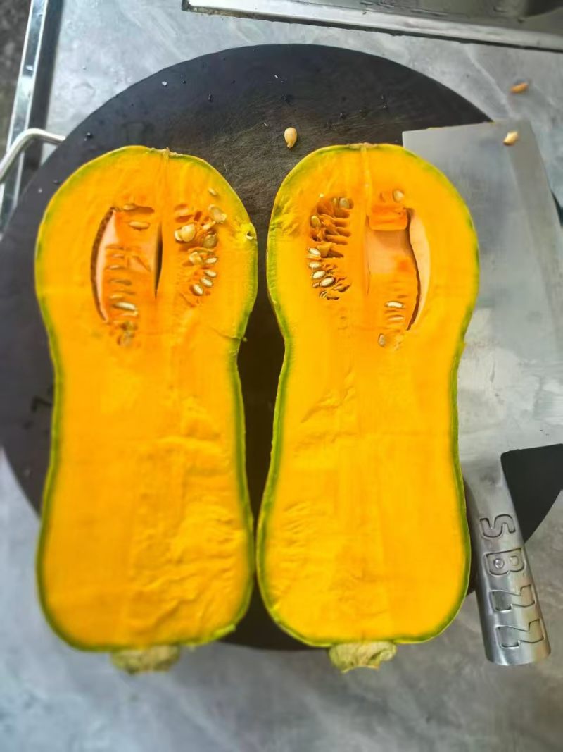 广西花生南瓜